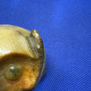 Genuine Alabaster Stone Owl Set Of 2
