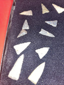 Native American Artifacts Lot 24 w/ Frame Arrowheads Collection 9”x7” Frame #21
