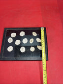 LOT OF 12 DEER ANTLER HORN BUTTONS REPLACEMENT