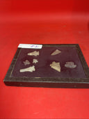 Native American Artifacts Lot 7 w/ Frame Arrowheads Collection 9”x7”Frame #20