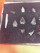 Native American Artifacts Lot 14 w/ Frame Arrowheads Collection 12”x8” Frame #15