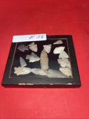 Native American Arrowheads collection in glass case.#26