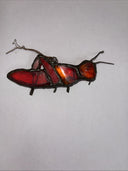Vintage Stained Glass Suncatchers Set Of 3
