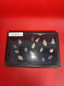Native American Artifacts Arrowheads Lot 16 Points w/12”x8.5” Frame. #8