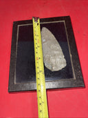 Native American Arrowheads collection in glass case, framed.