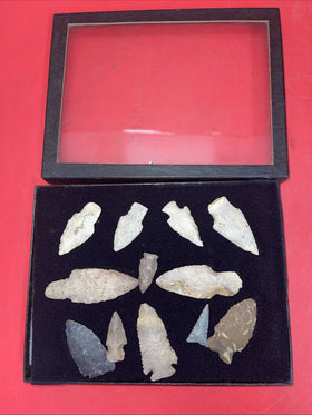 Lot of 12 Native American Indian Arrowhead Artifacts & Display Box 9”x7”. #18