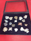 Native American Artifacts Lot 18 w/ Frame Arrowheads Collection 9”x7” Frame #25