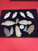 Lot of 12 Native American Indian Arrowhead Artifacts & Display Box 9”x7”. #18