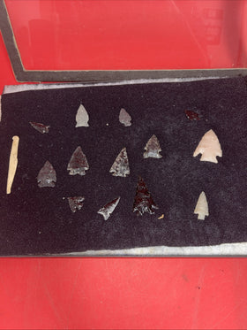Native American Artifacts Lot 14 w/ Frame Arrowheads Collection 12”x8” Frame #15