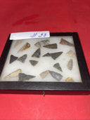 Native American Arrowheads collection in glass case, #27