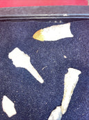 Native American Artifacts Arrowheads Lot 9 Points w/ 9”x7” Frame. #19