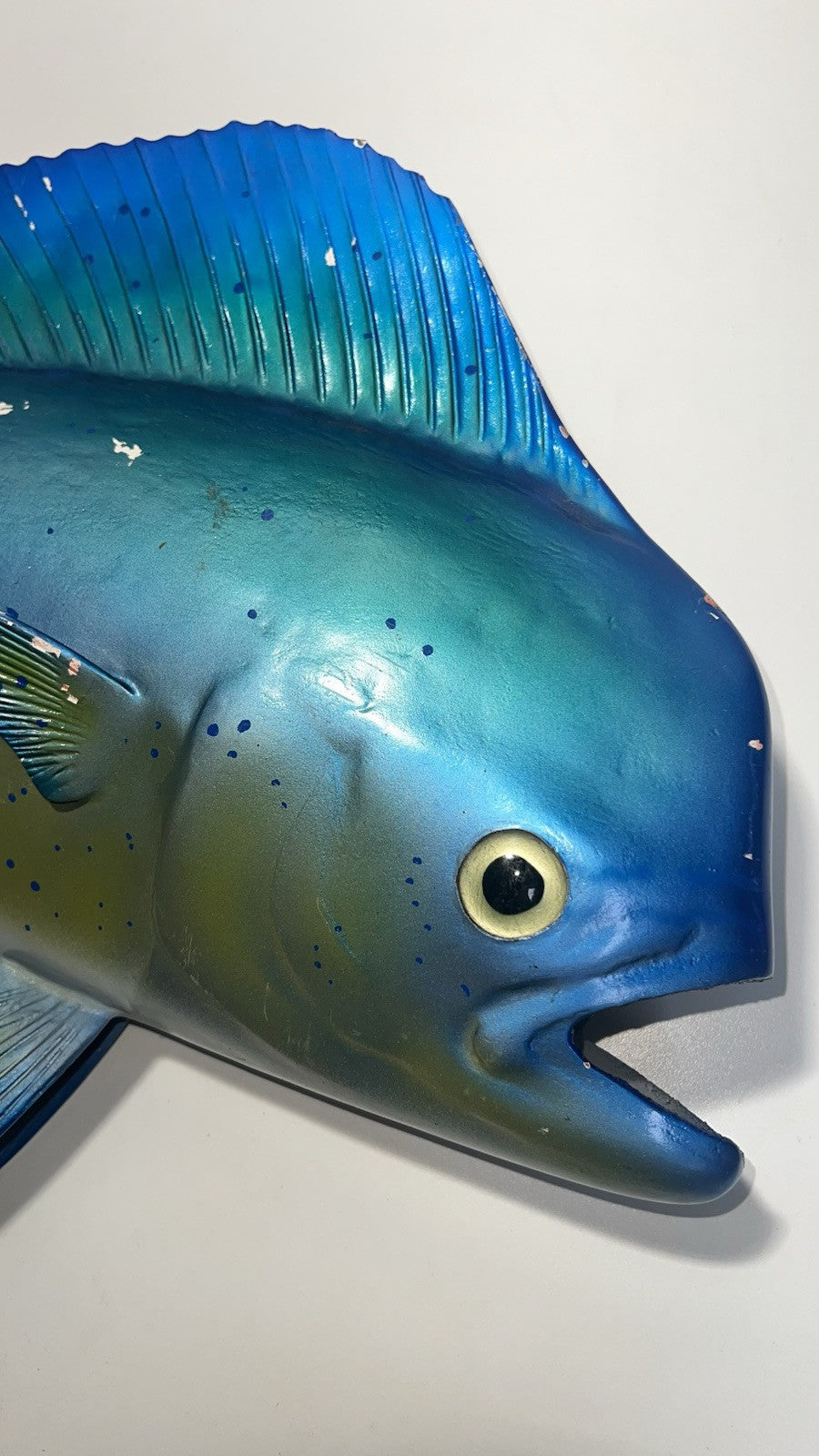 Large Fiberglass Mahi Mahi Fish Mount - Ocean Wall Decor 28” Vibrant Colors