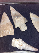 Native American Artifacts Lot 6 w/ Frame Arrowheads Collection 9”x7 Frame #24