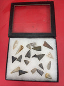 Native American Arrowheads collection in glass case, #27
