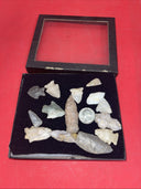 Native American Arrowheads collection in glass case.#26