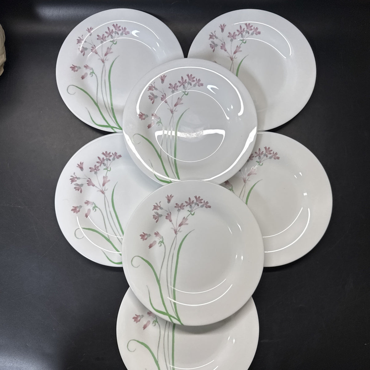 MSE Martha Stewart EVERYDAY 7-3/4"/ Set Of 6 Plates